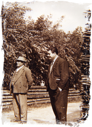 Salvati Alfredo